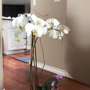 Meet your Posher, Mai